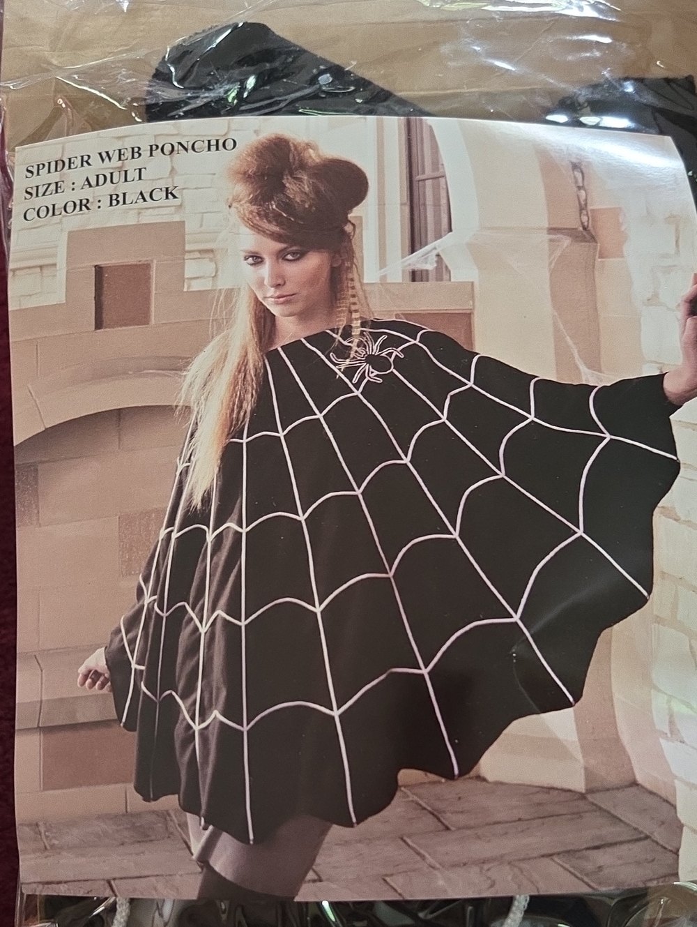Grandin Road, Spider Web Poncho - Black with White Web